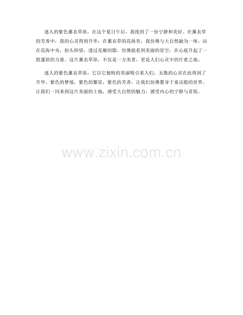 迷人的紫色薰衣草原.docx_第2页