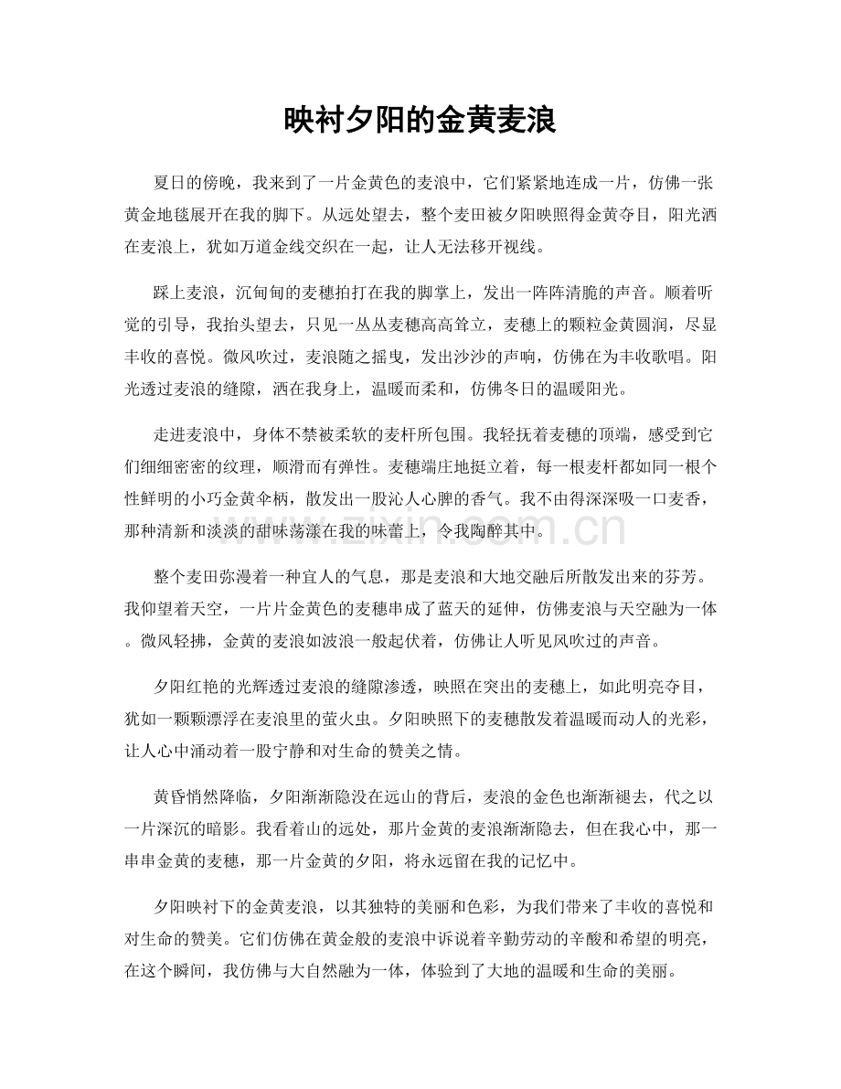 映衬夕阳的金黄麦浪.docx_第1页