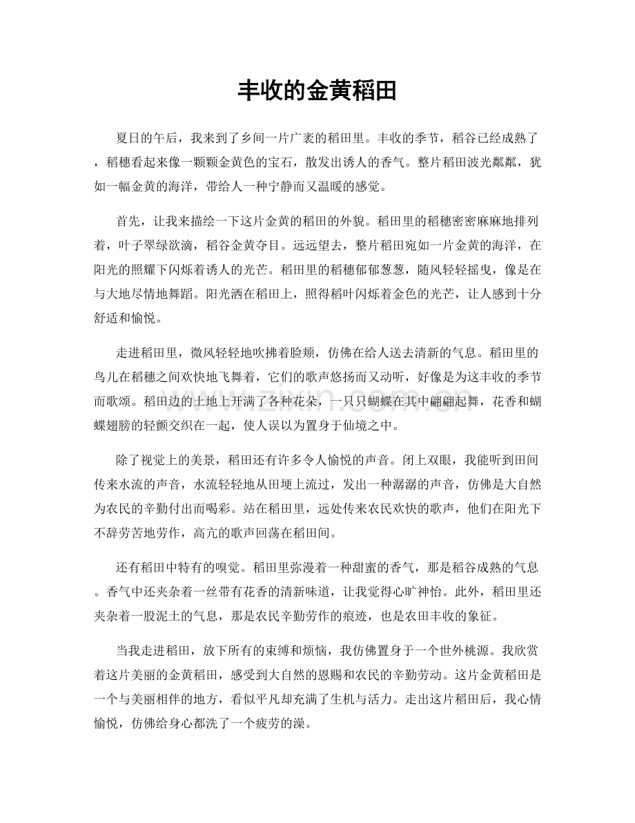 丰收的金黄稻田.docx_第1页
