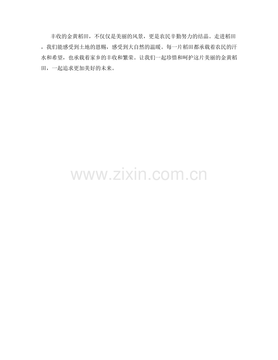 丰收的金黄稻田.docx_第2页
