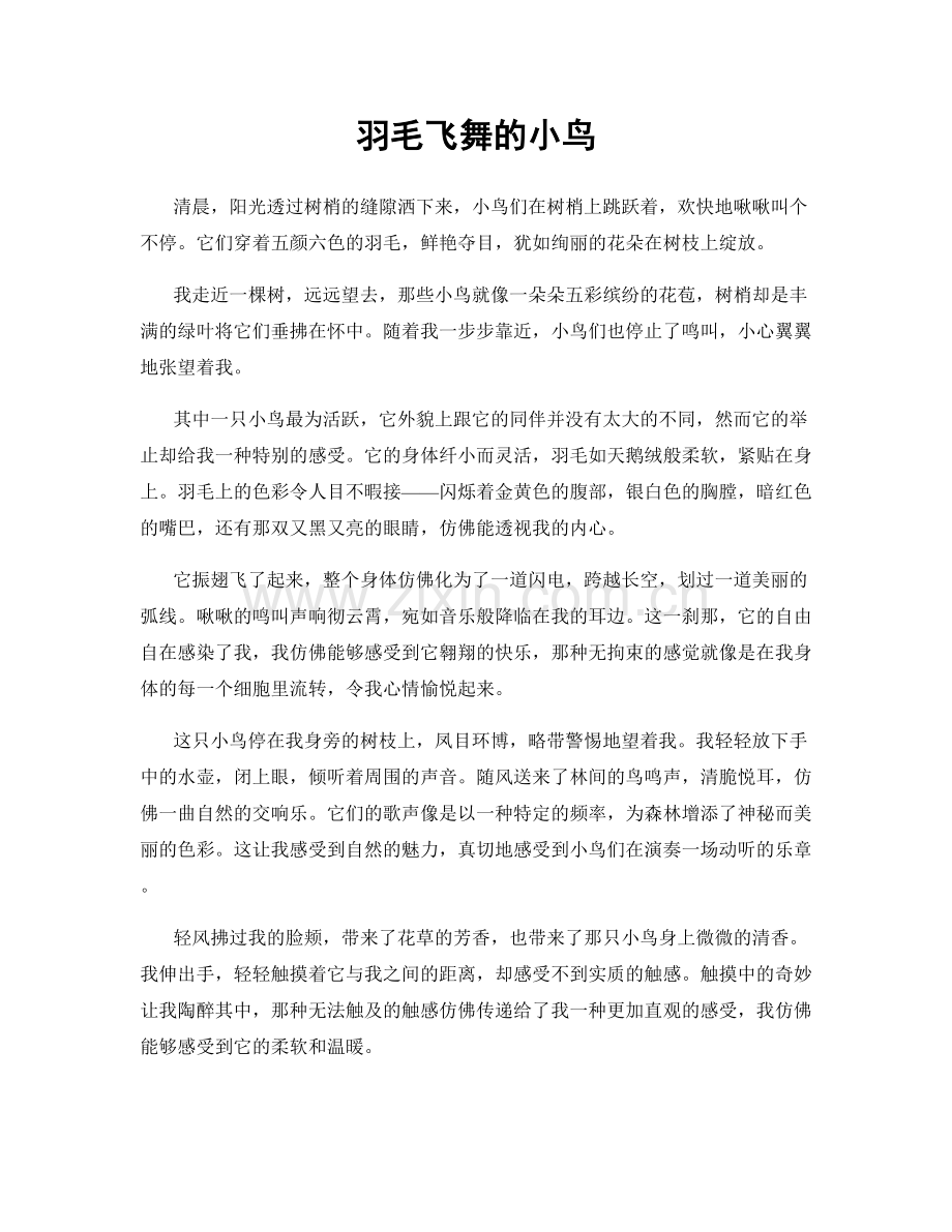 羽毛飞舞的小鸟.docx_第1页
