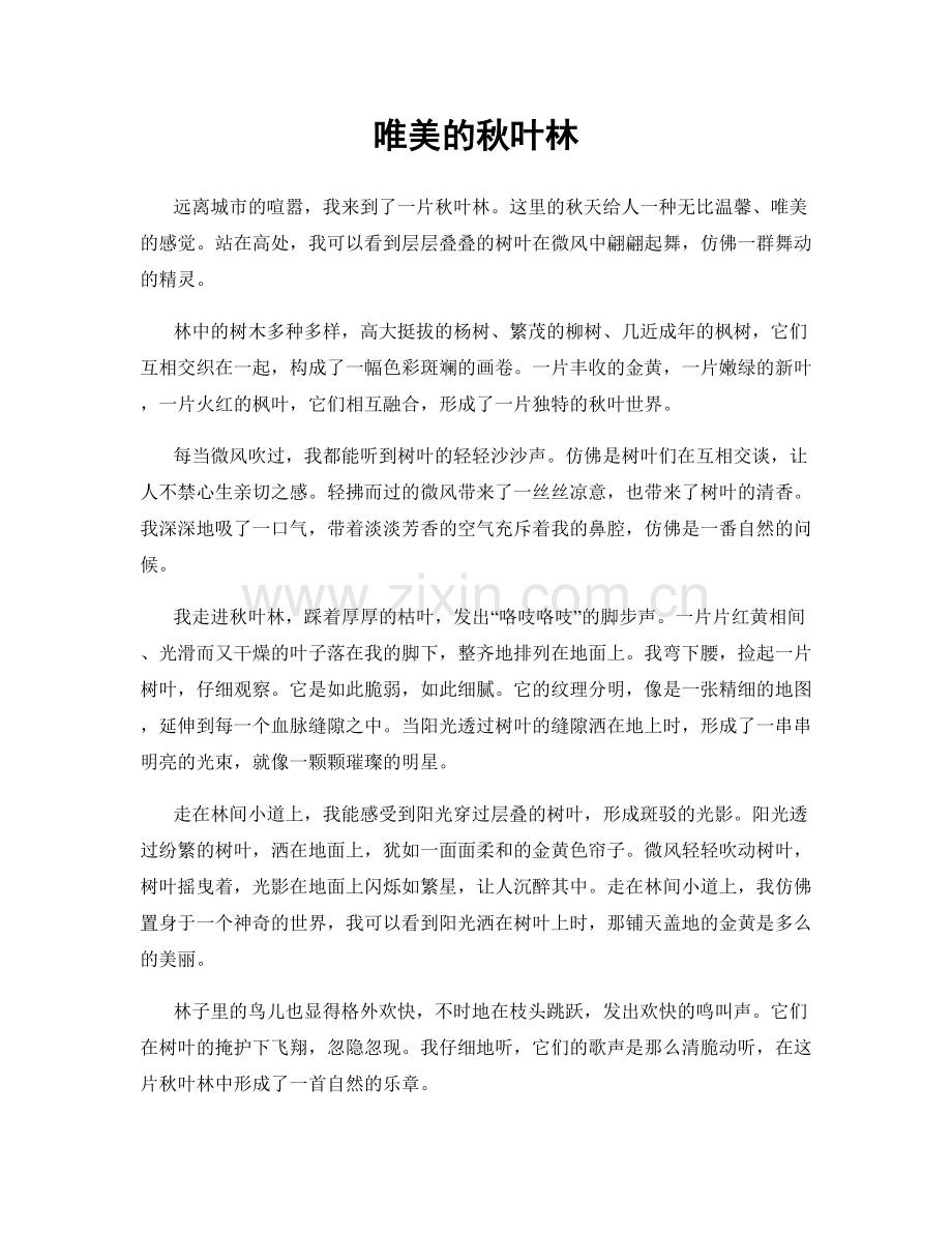 唯美的秋叶林.docx_第1页