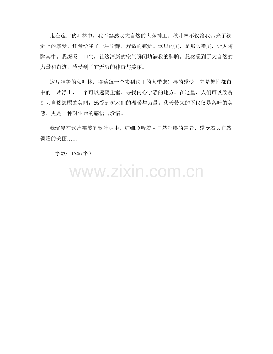 唯美的秋叶林.docx_第2页