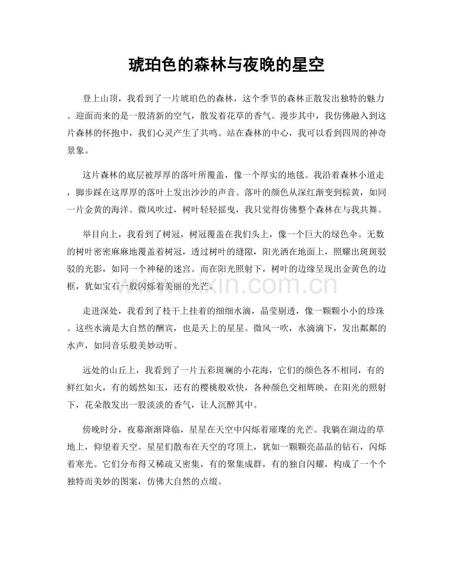 琥珀色的森林与夜晚的星空.docx_第1页
