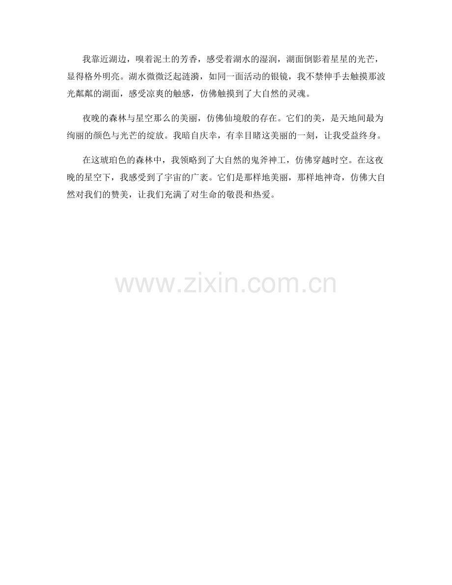 琥珀色的森林与夜晚的星空.docx_第2页