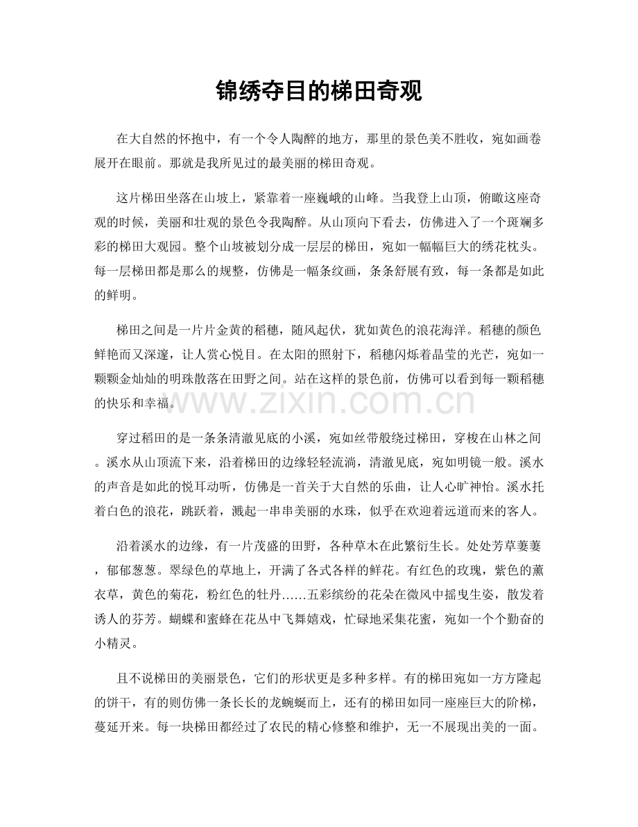 锦绣夺目的梯田奇观.docx_第1页