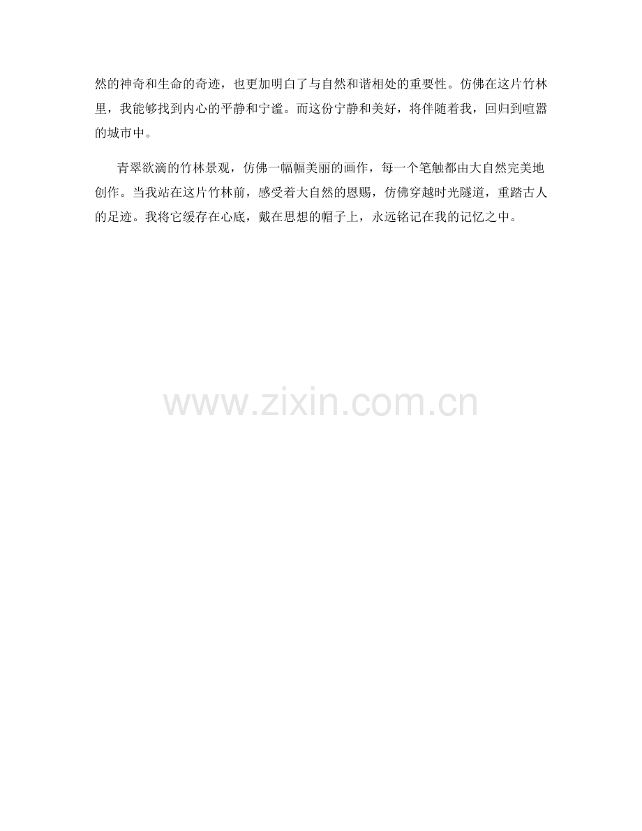 青翠欲滴的竹林景观.docx_第2页