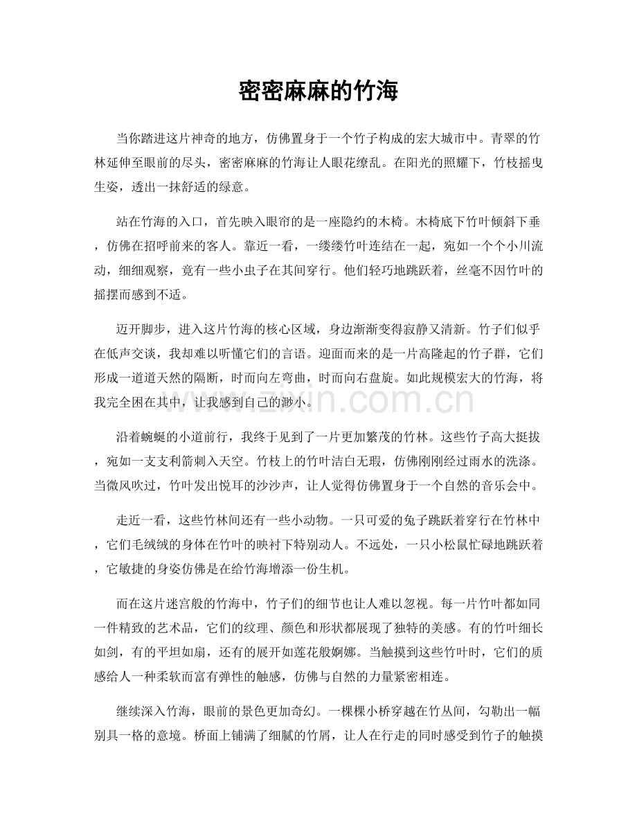 密密麻麻的竹海.docx_第1页