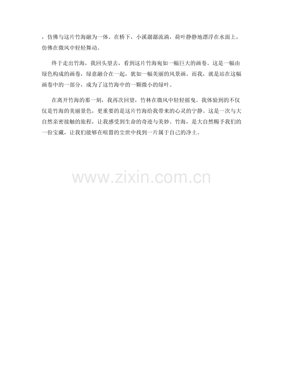 密密麻麻的竹海.docx_第2页