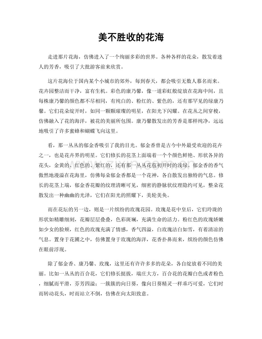 美不胜收的花海.docx_第1页