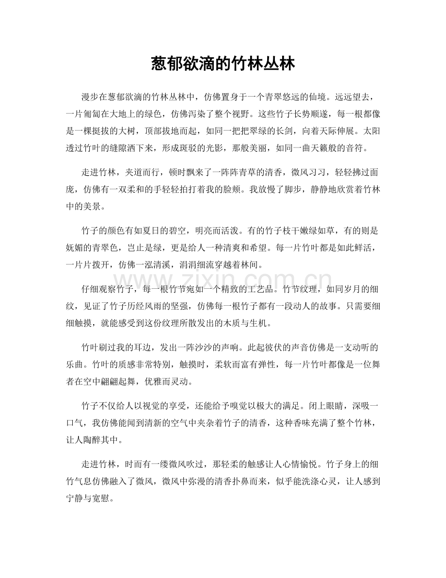 葱郁欲滴的竹林丛林.docx_第1页