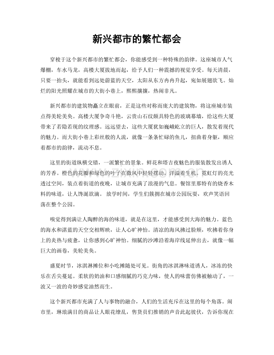 新兴都市的繁忙都会.docx_第1页