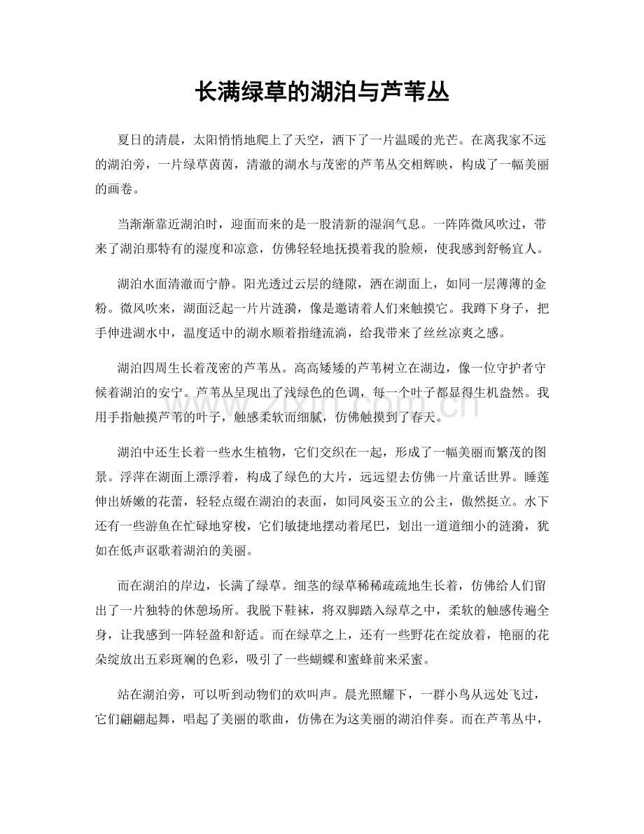 长满绿草的湖泊与芦苇丛.docx_第1页