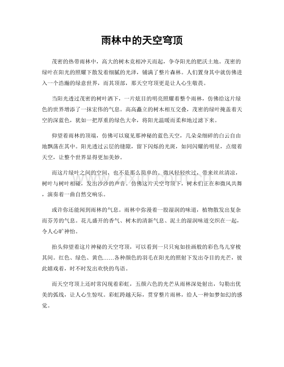 雨林中的天空穹顶.docx_第1页