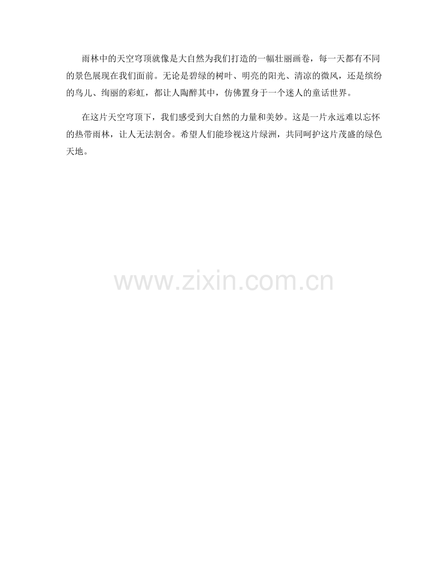 雨林中的天空穹顶.docx_第2页