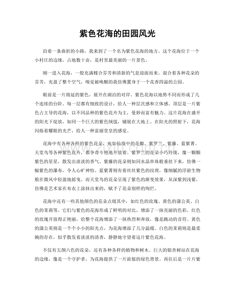 紫色花海的田园风光.docx_第1页
