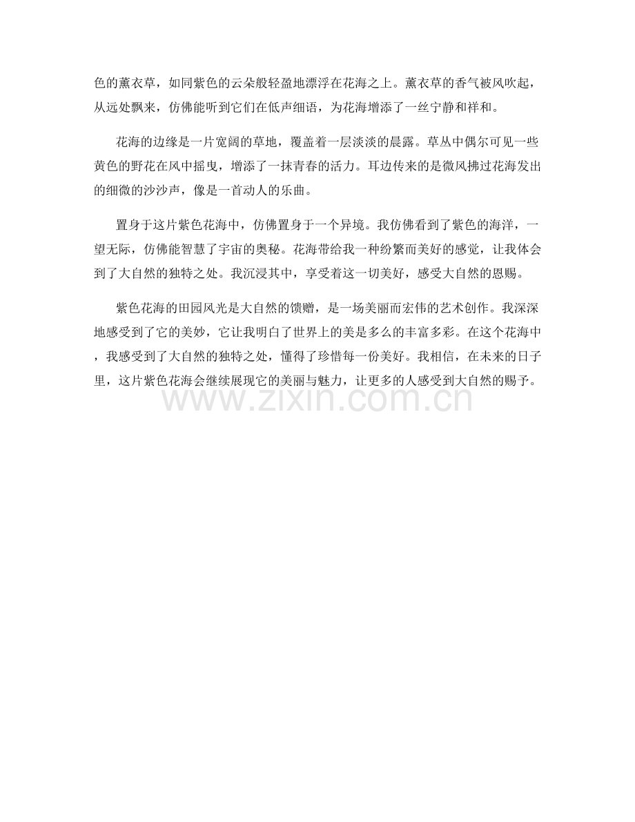 紫色花海的田园风光.docx_第2页