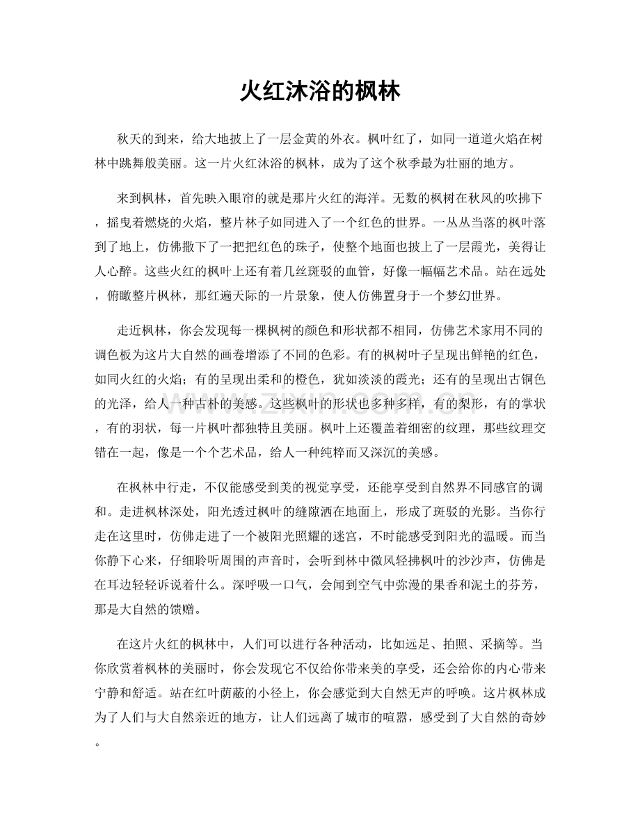 火红沐浴的枫林.docx_第1页