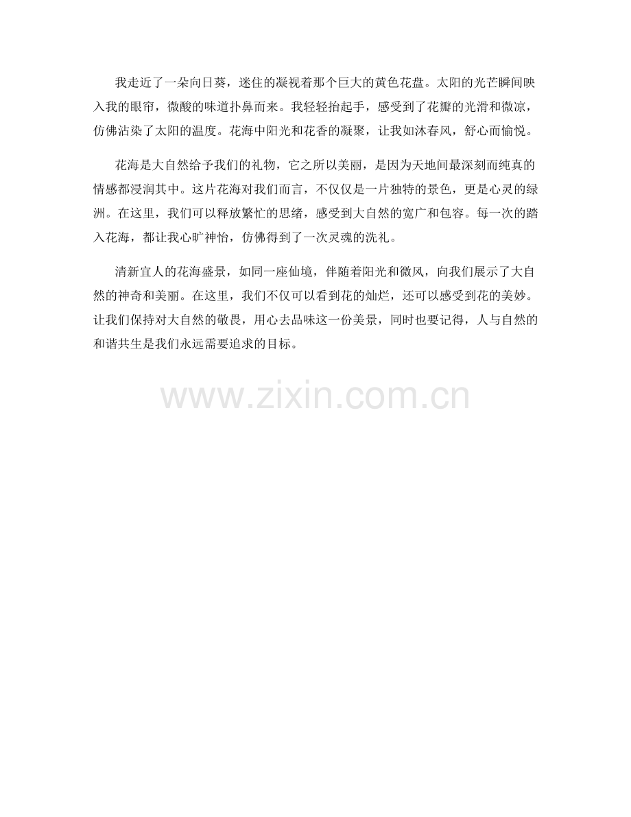 清新宜人的花海盛景.docx_第2页
