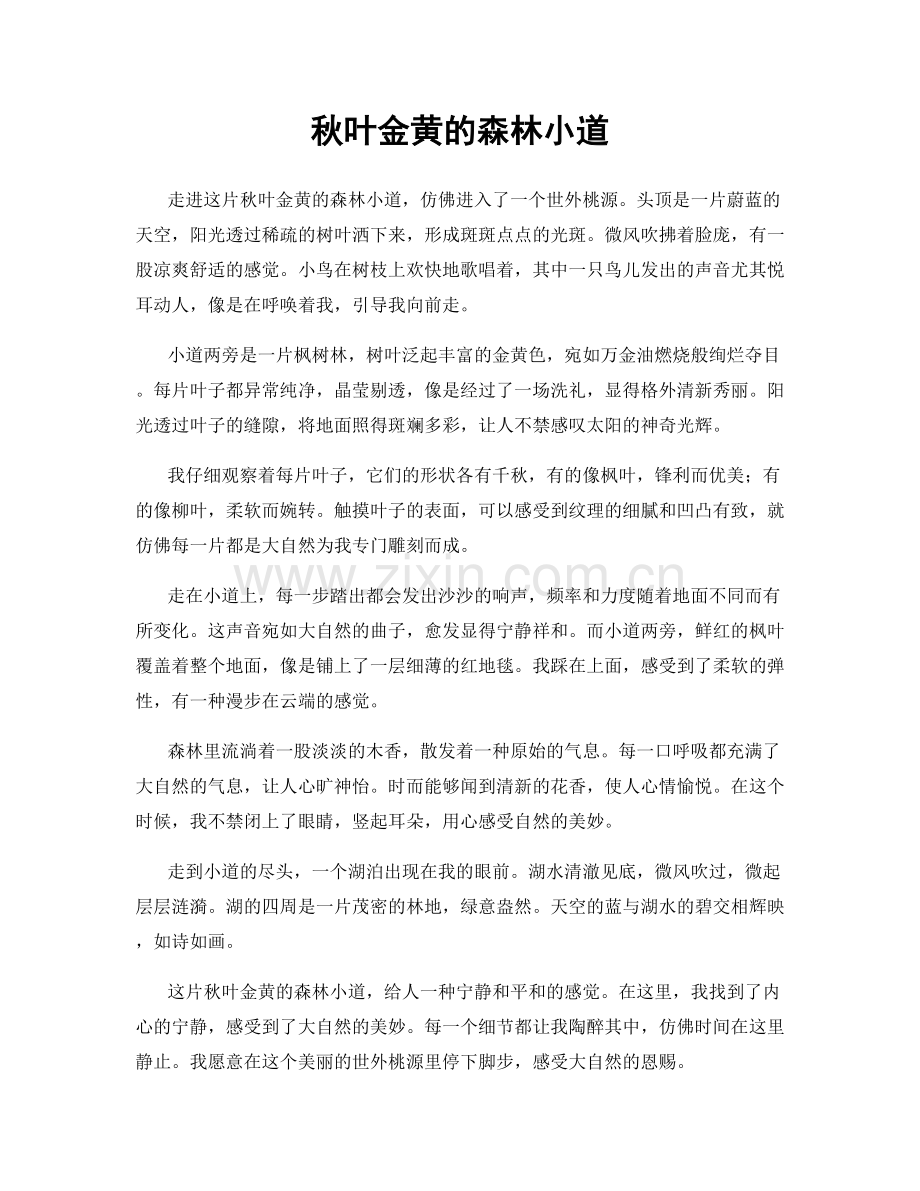 秋叶金黄的森林小道.docx_第1页