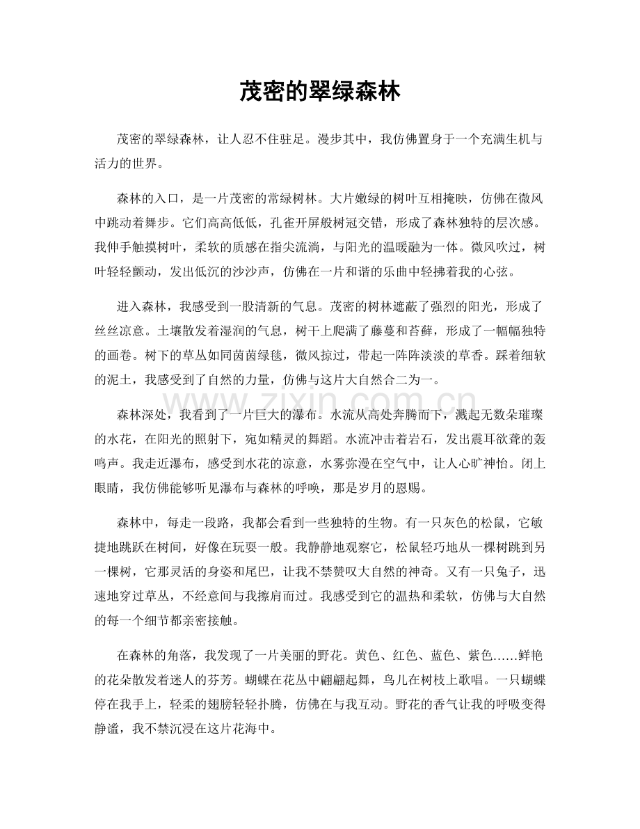 茂密的翠绿森林.docx_第1页