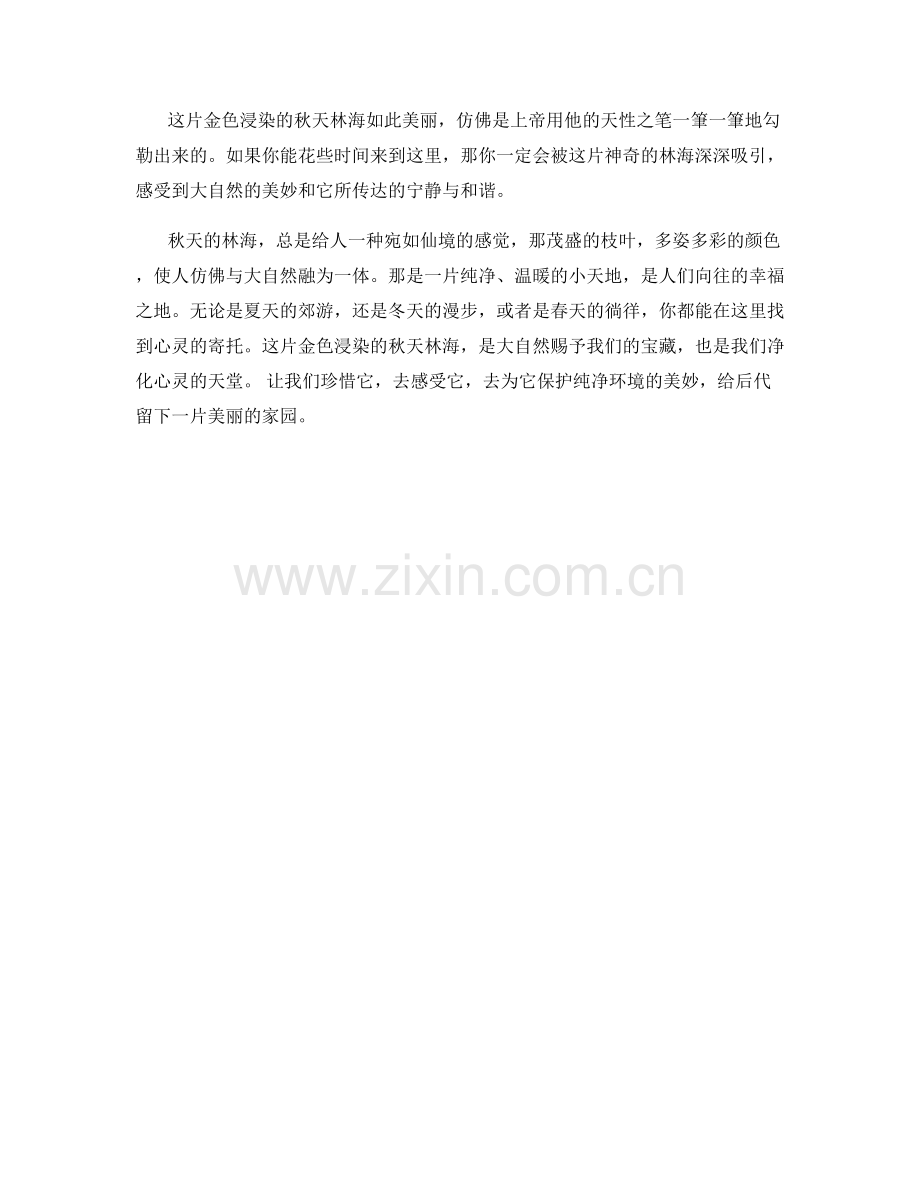 金色浸染的秋天林海.docx_第2页