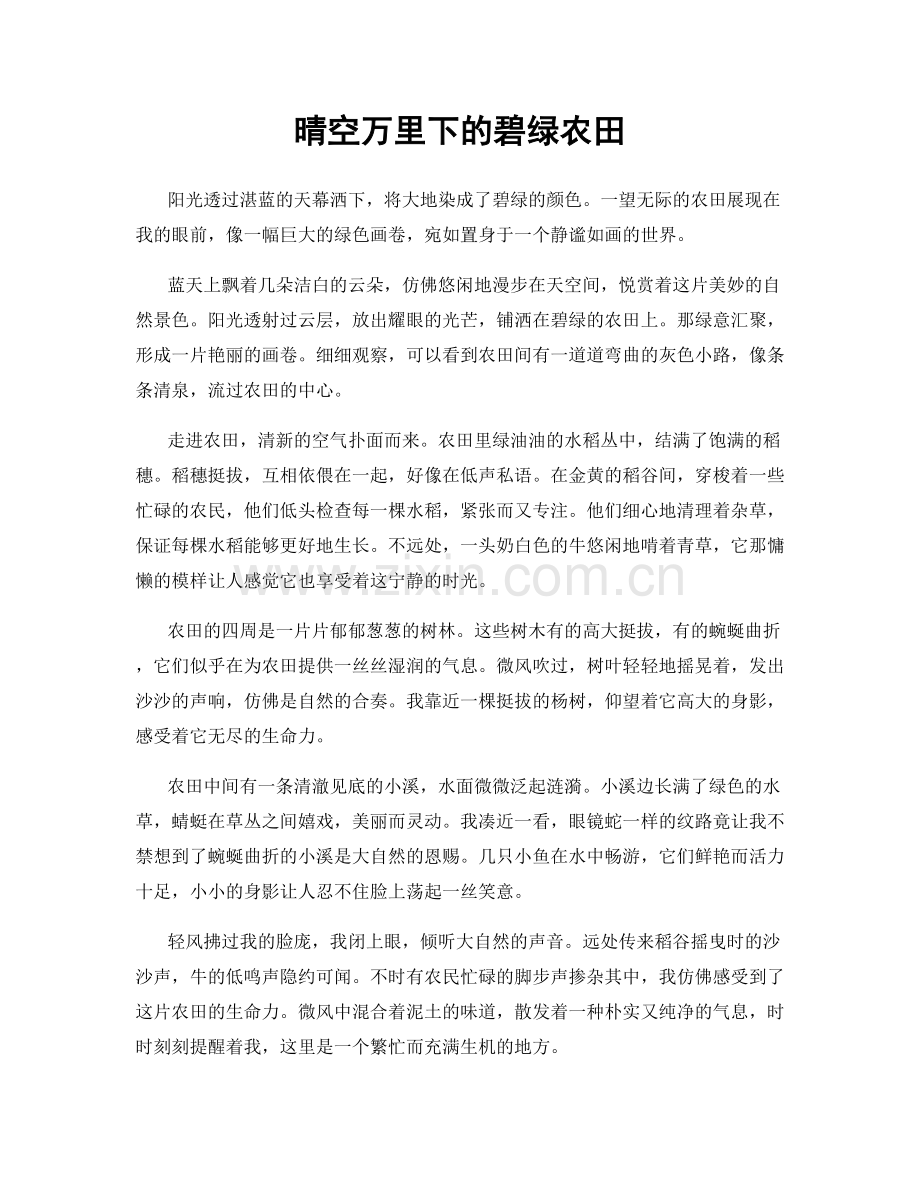 晴空万里下的碧绿农田.docx_第1页
