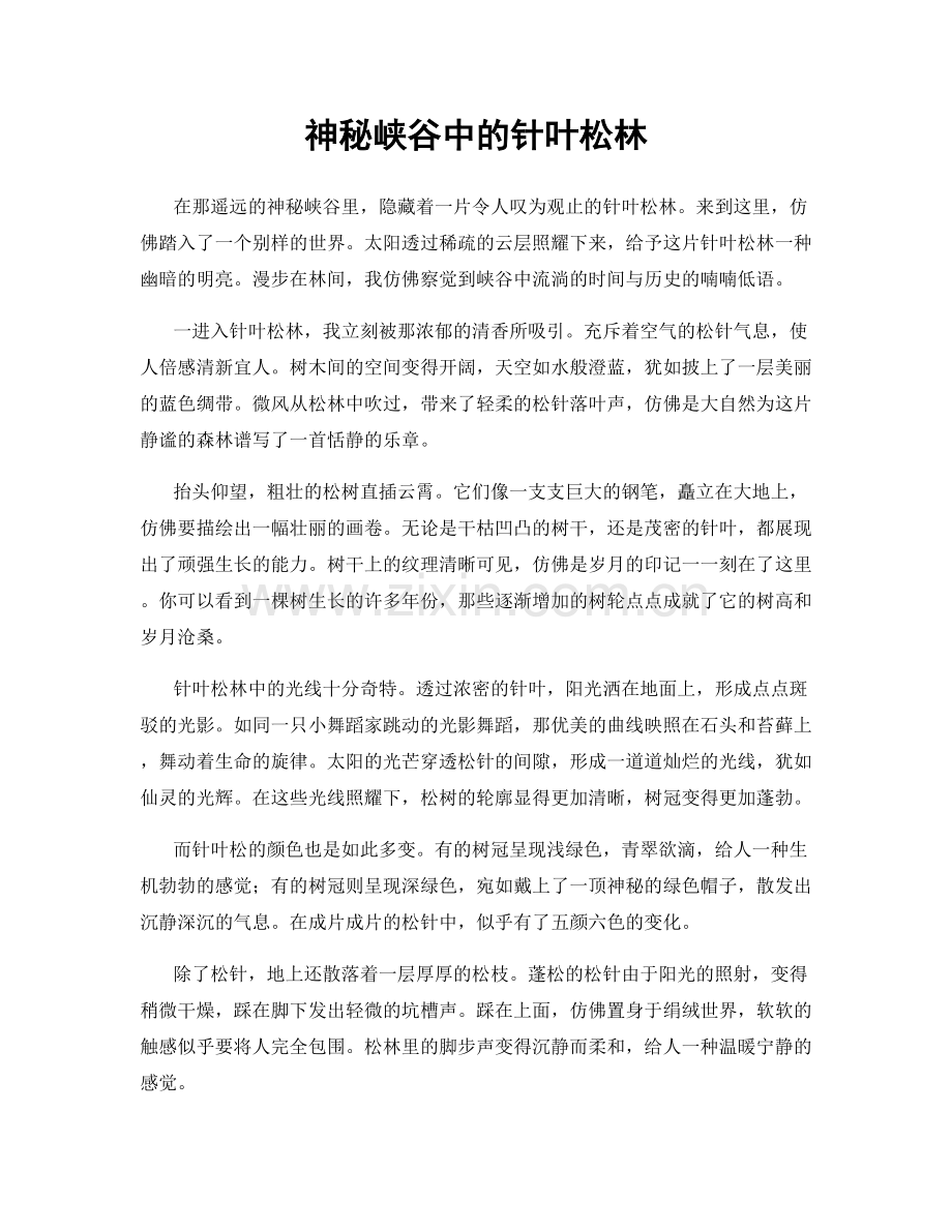 神秘峡谷中的针叶松林.docx_第1页