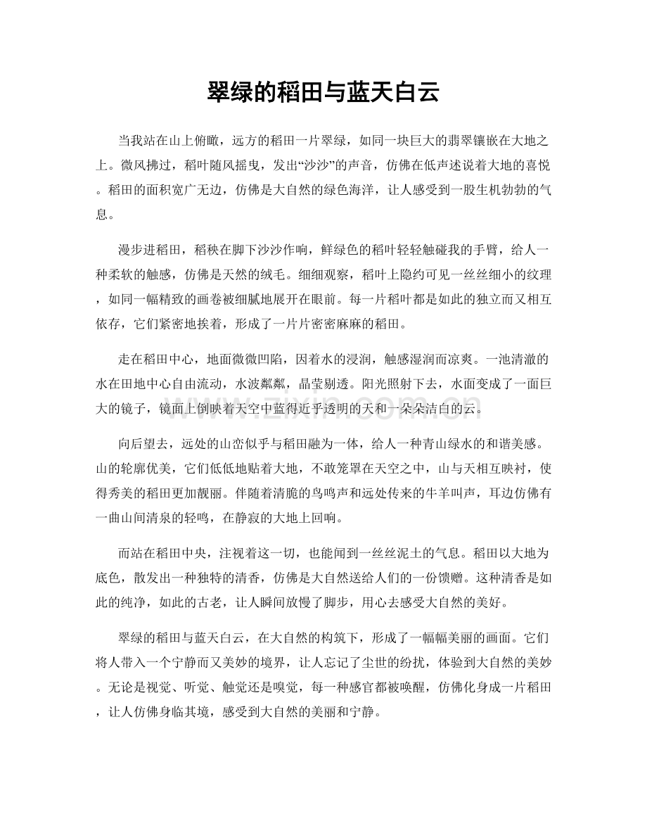 翠绿的稻田与蓝天白云.docx_第1页
