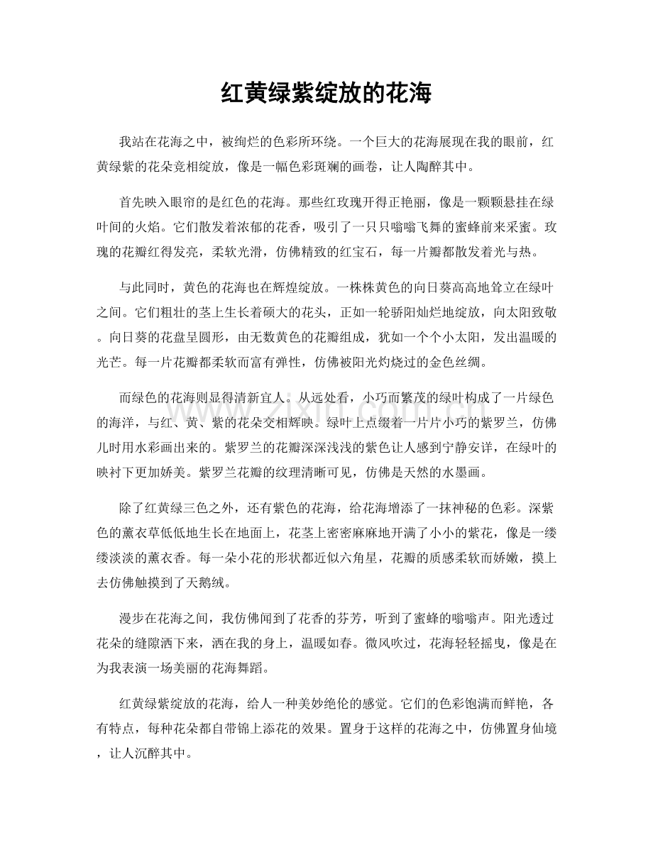 红黄绿紫绽放的花海.docx_第1页