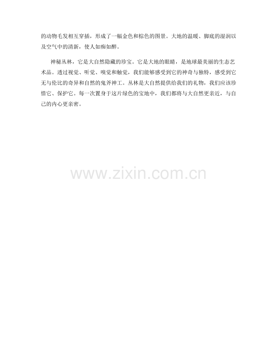 隐藏的珍宝：神秘丛林.docx_第2页