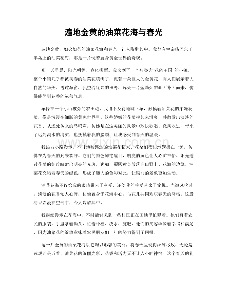 遍地金黄的油菜花海与春光.docx_第1页