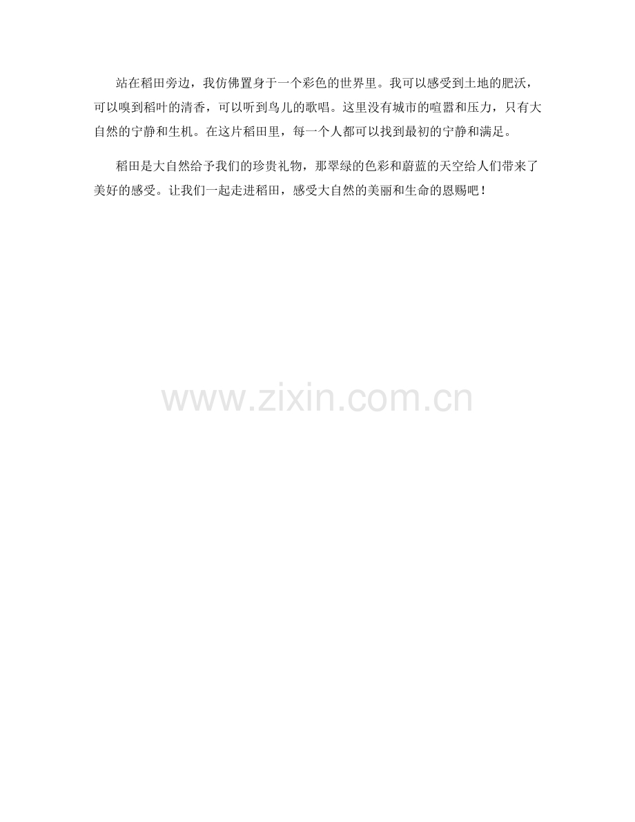 翠绿的稻田和蔚蓝的天空.docx_第2页