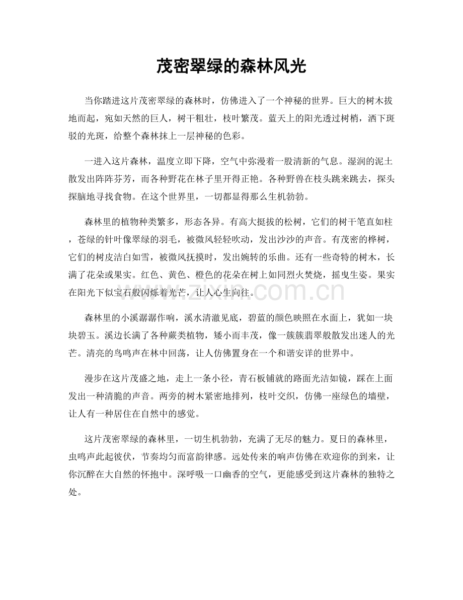 茂密翠绿的森林风光.docx_第1页