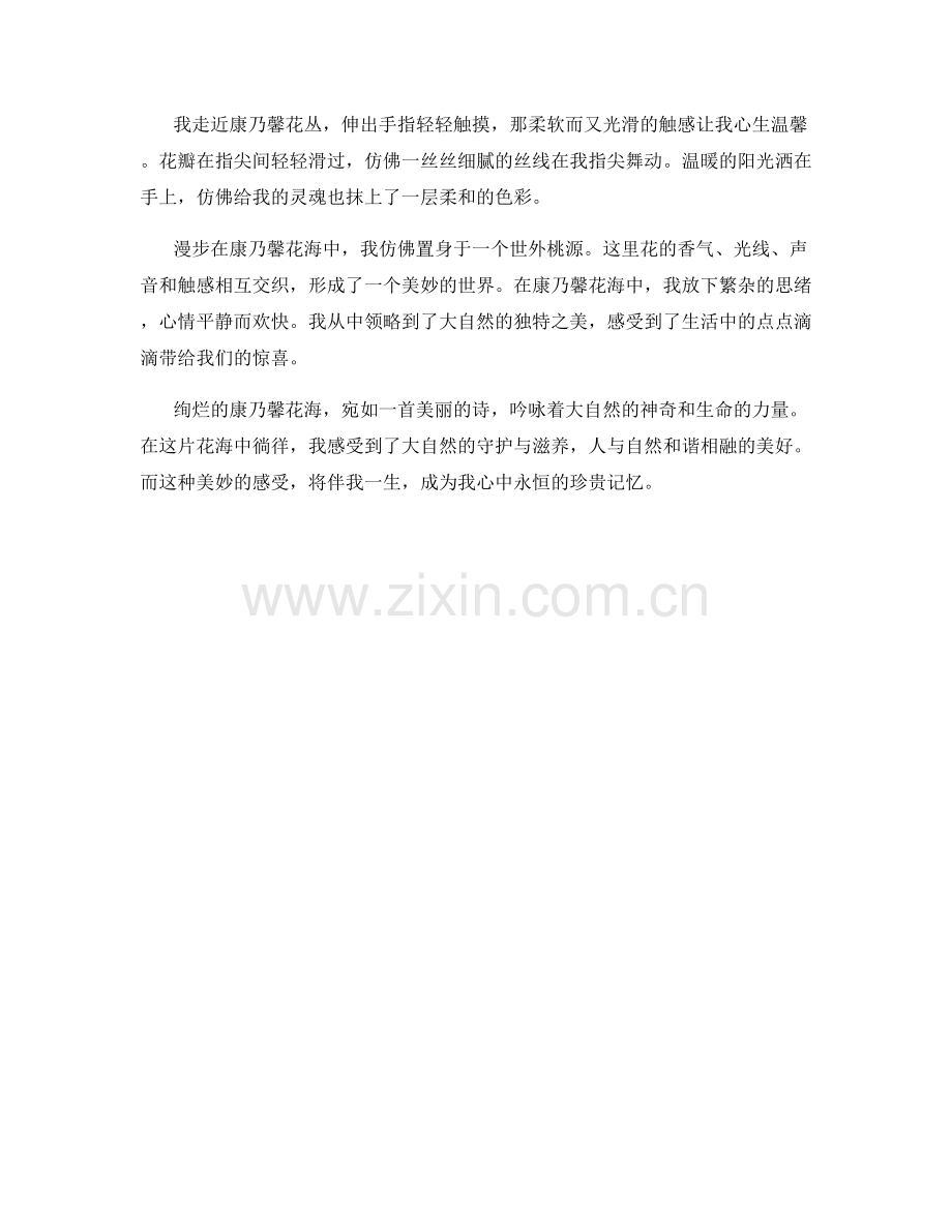 绚烂的康乃馨花海.docx_第2页