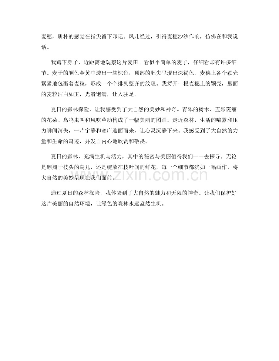 绿意盎然：夏日的森林探险.docx_第2页
