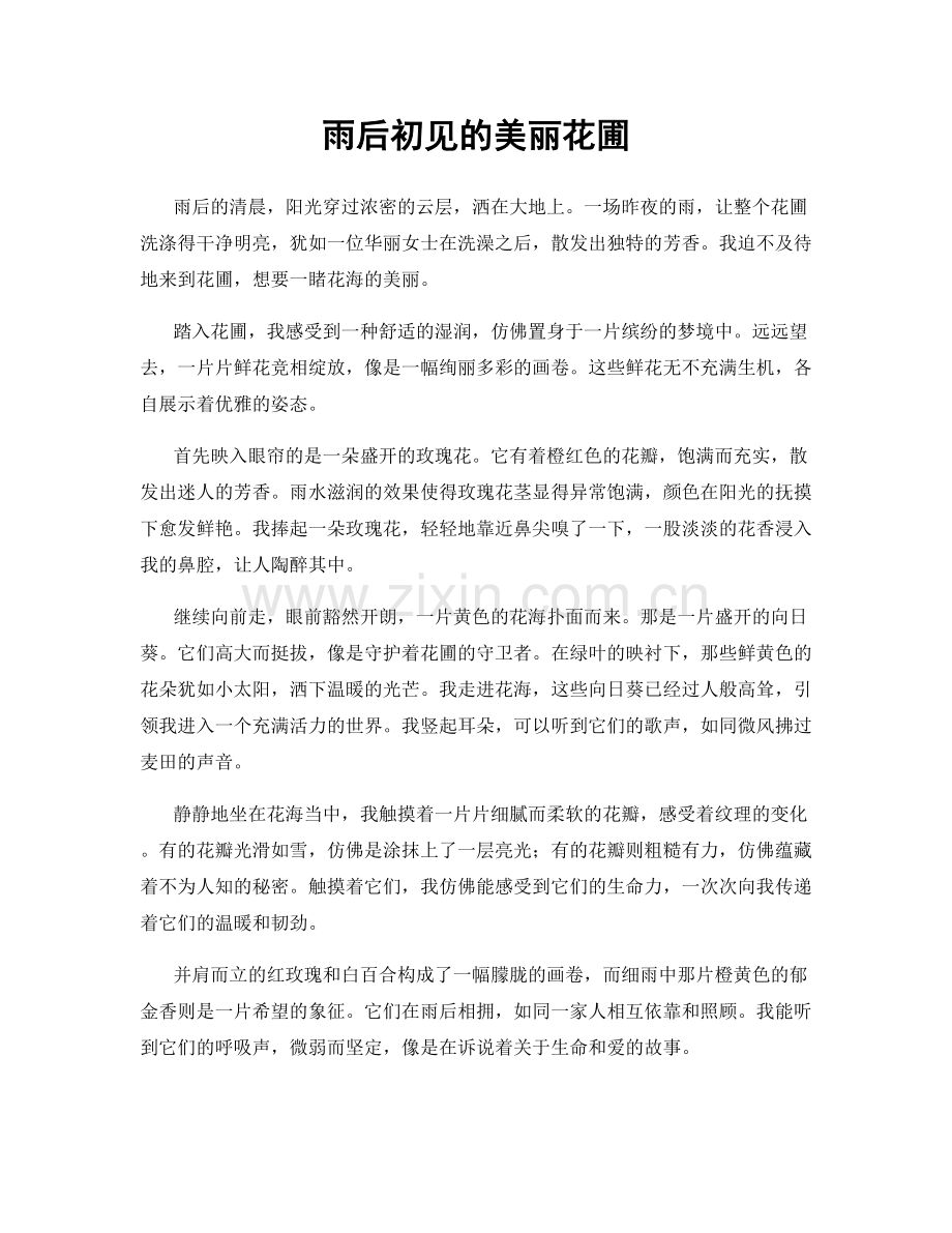 雨后初见的美丽花圃.docx_第1页