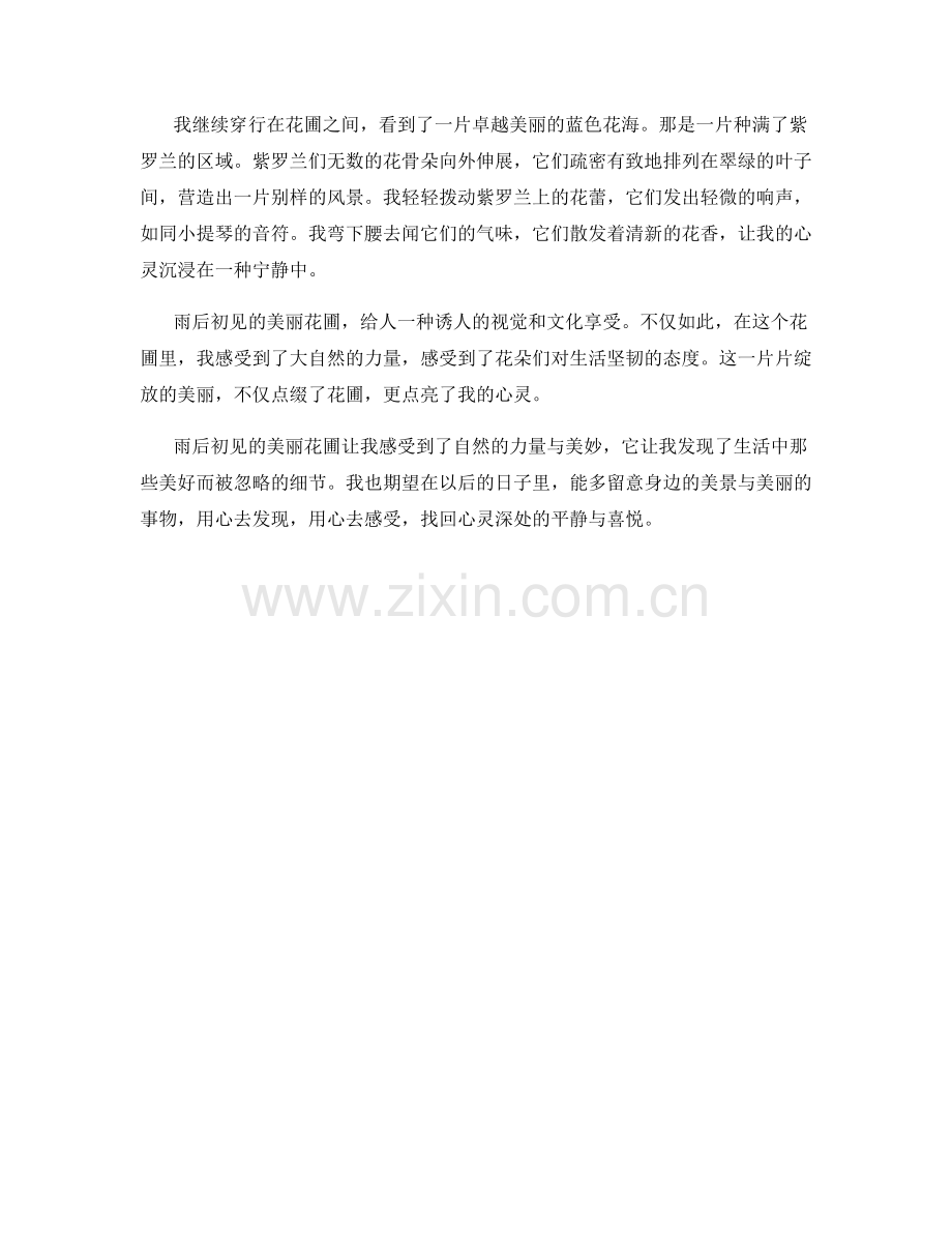 雨后初见的美丽花圃.docx_第2页