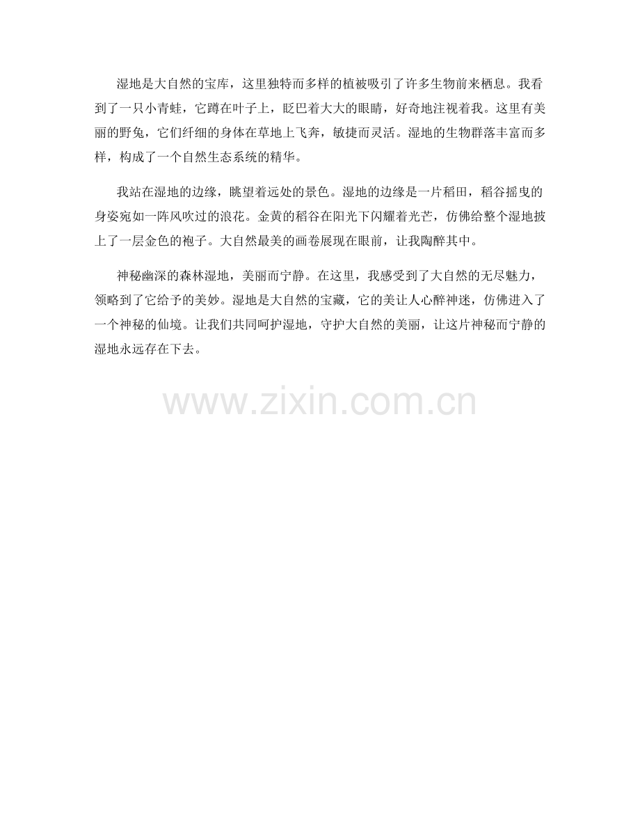 神秘幽深的森林湿地.docx_第2页