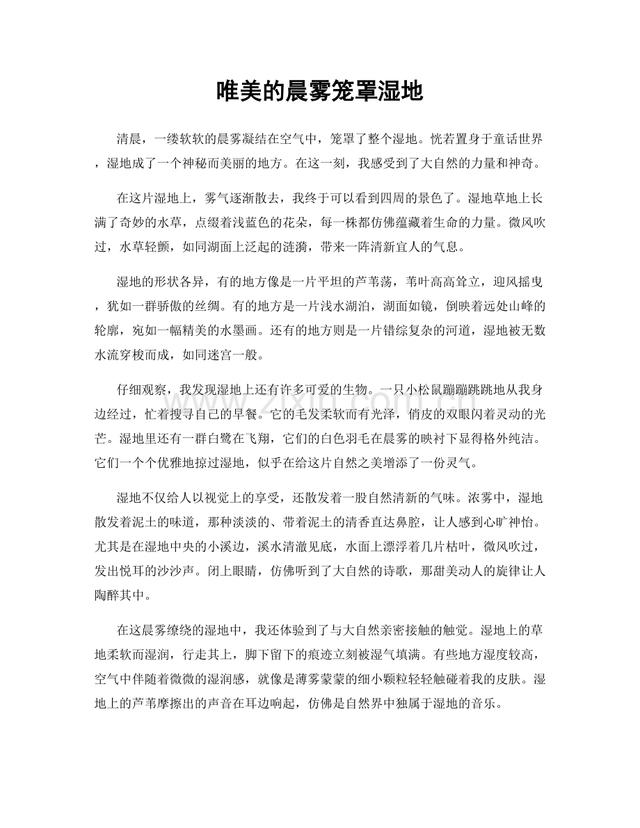 唯美的晨雾笼罩湿地.docx_第1页