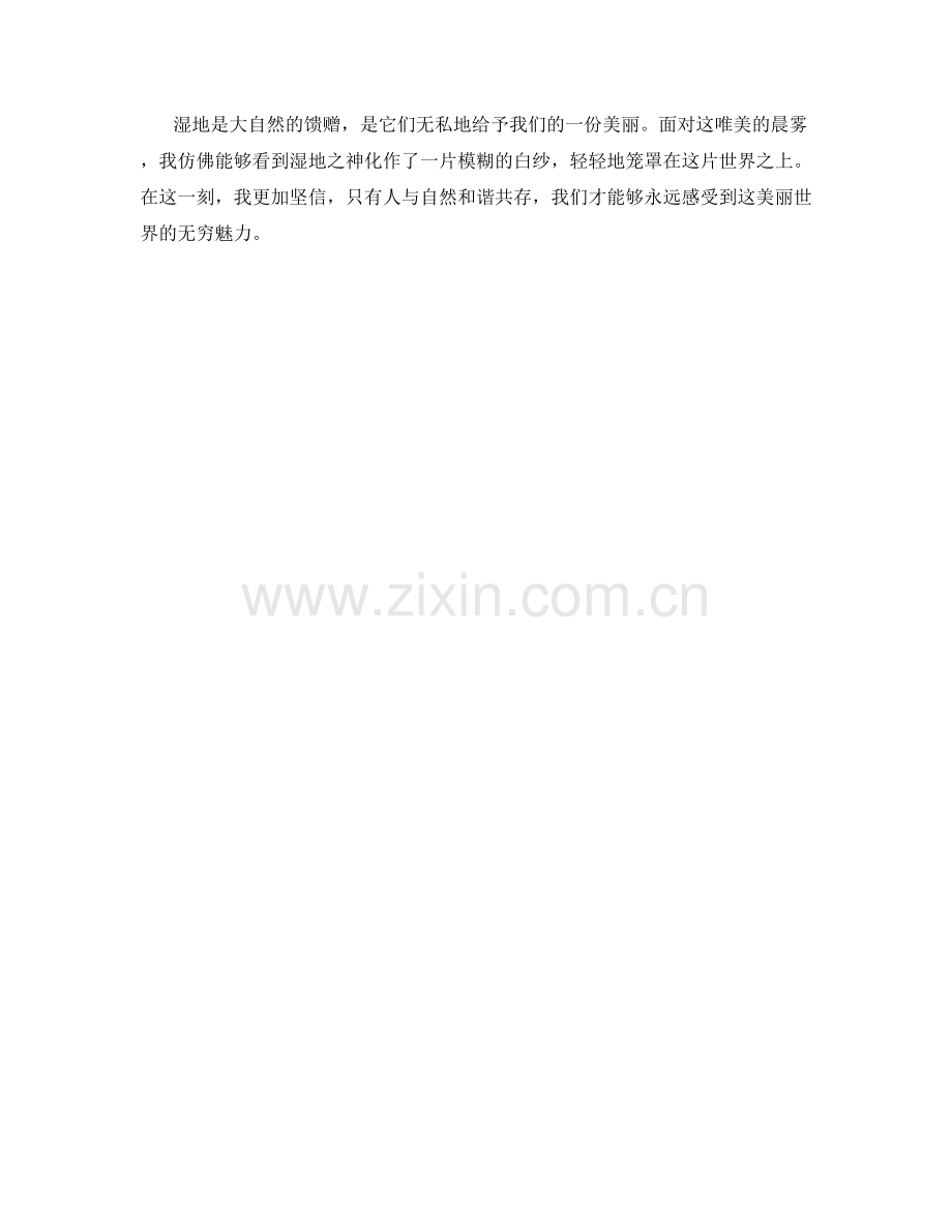 唯美的晨雾笼罩湿地.docx_第2页