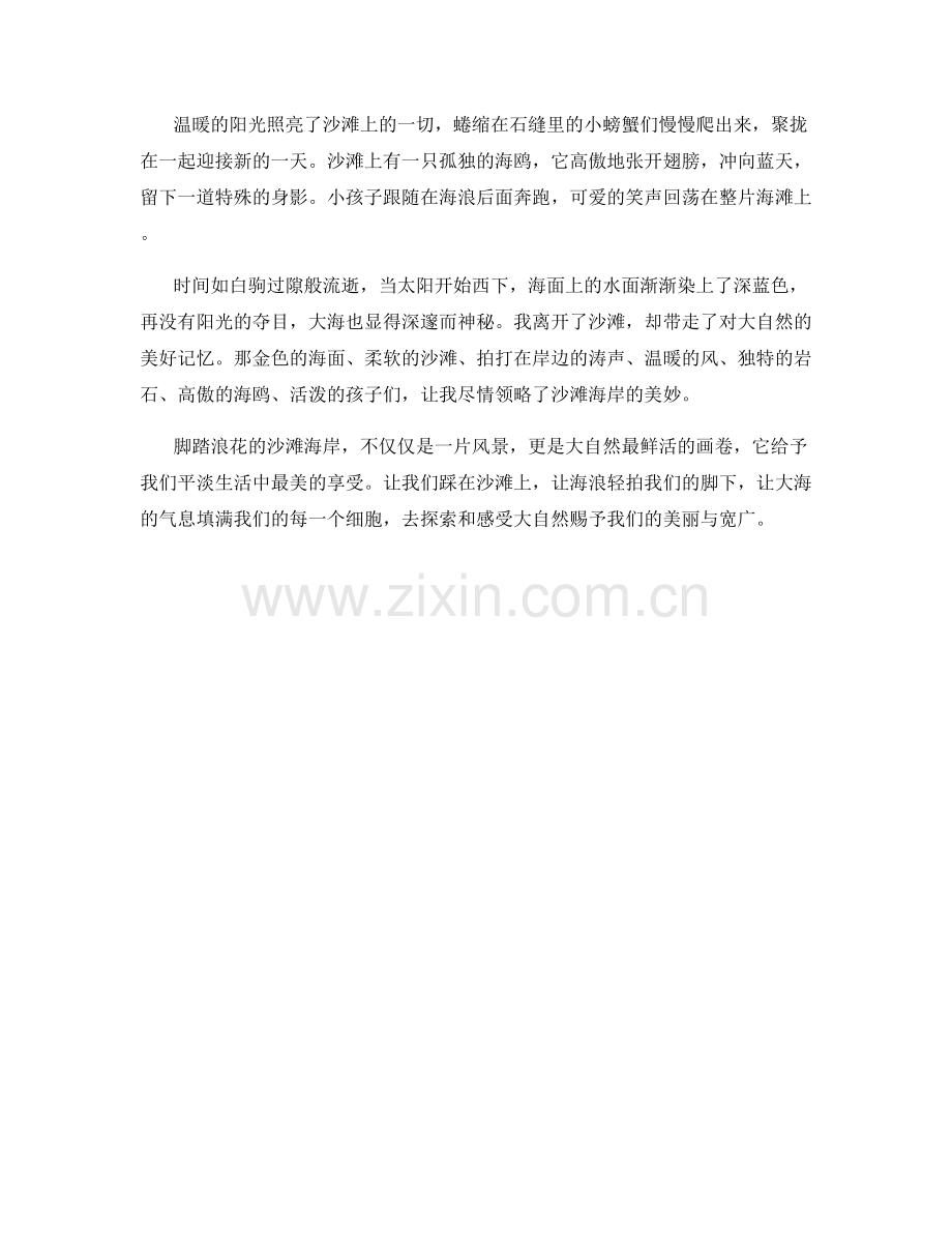 脚踏浪花的沙滩海岸.docx_第2页