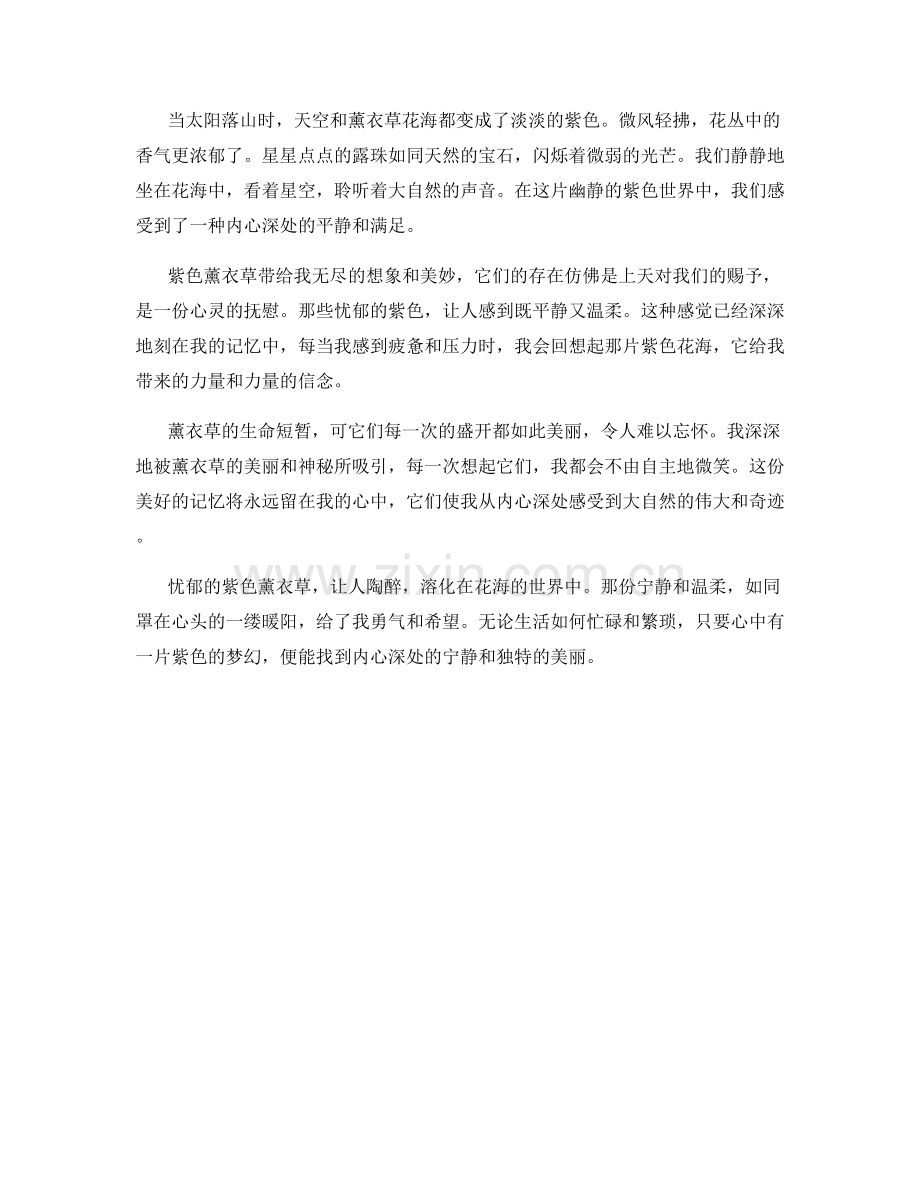 忧郁的紫色薰衣草.docx_第2页