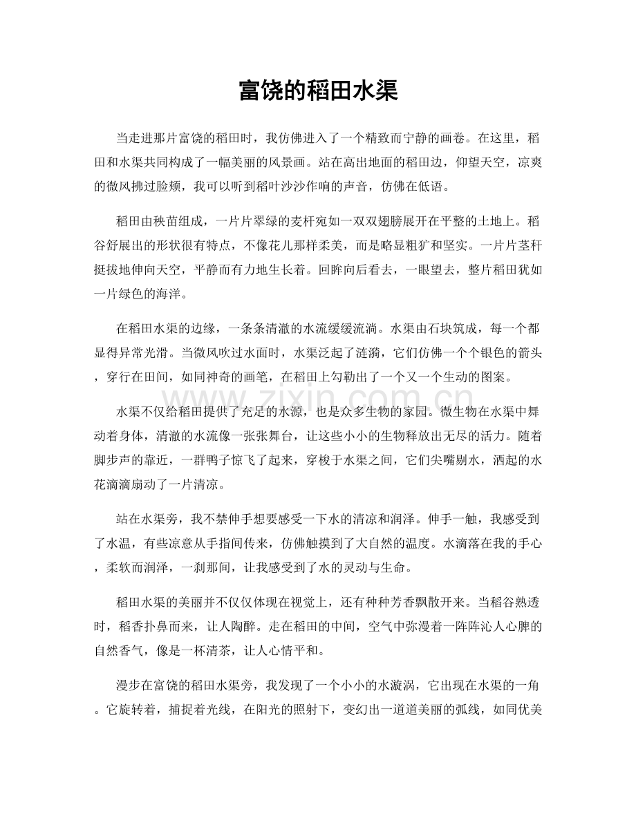 富饶的稻田水渠.docx_第1页