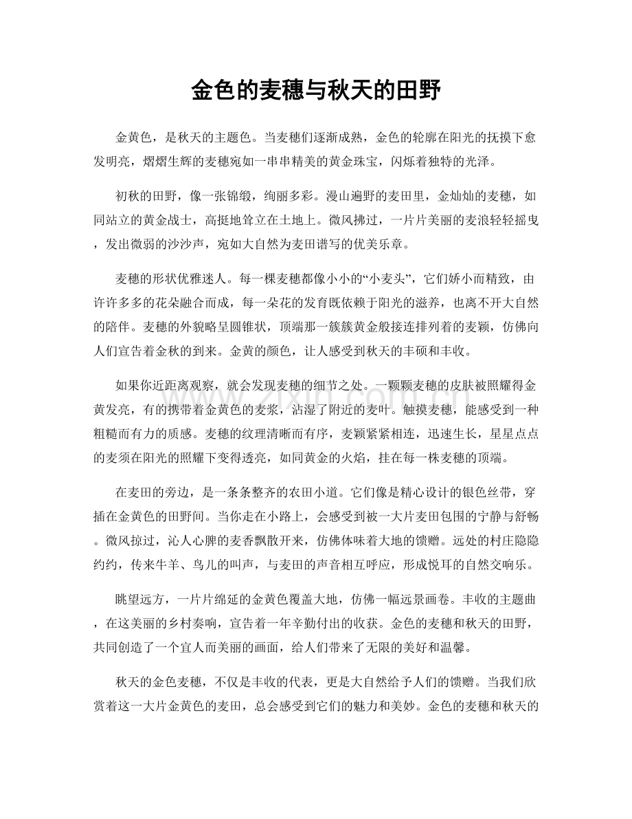 金色的麦穗与秋天的田野.docx_第1页
