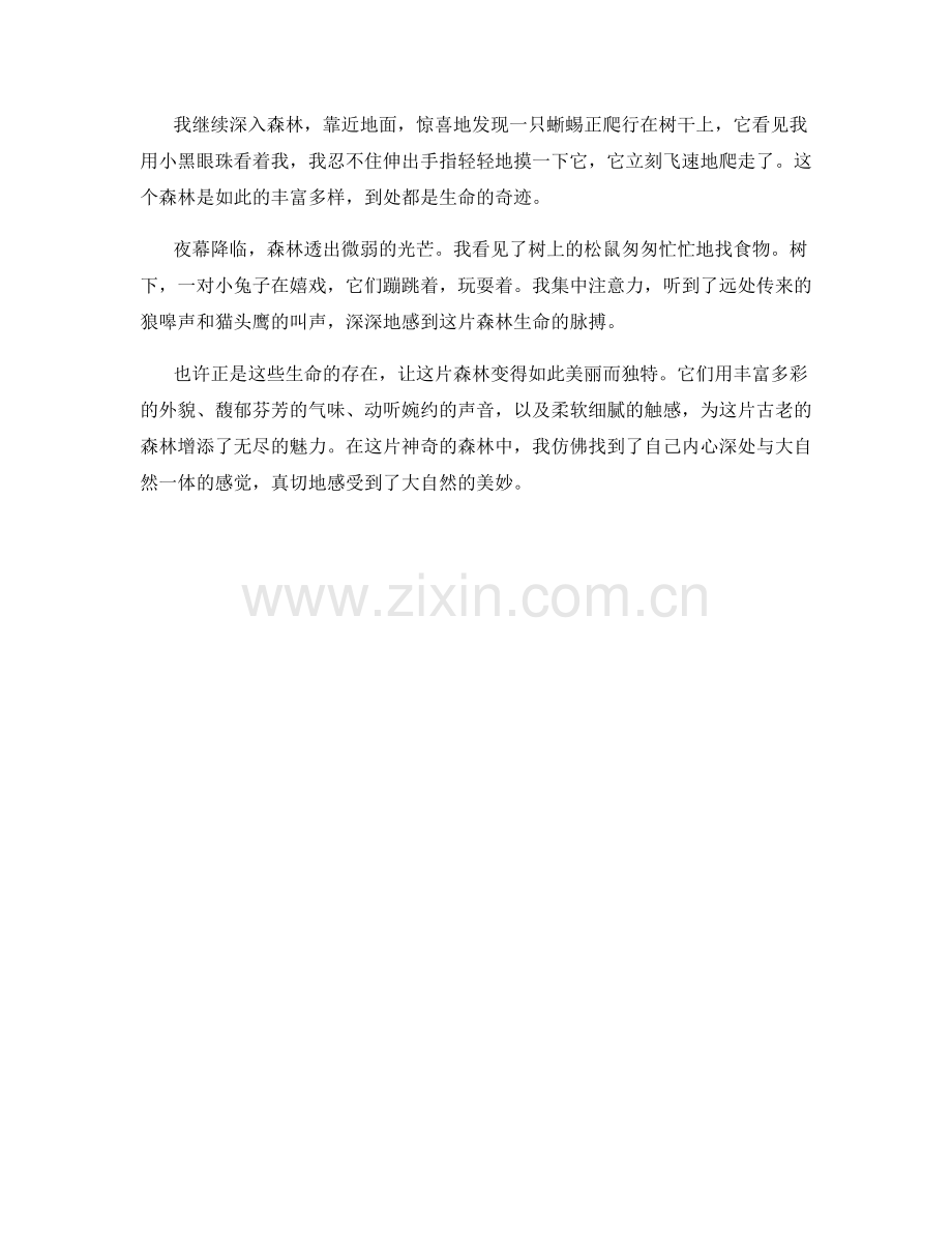 莽莽苍苍的古老森林.docx_第2页