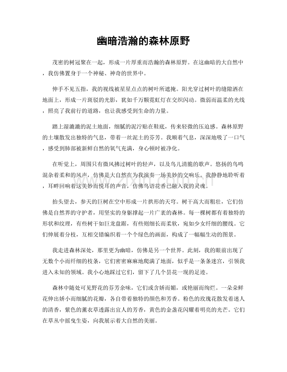 幽暗浩瀚的森林原野.docx_第1页
