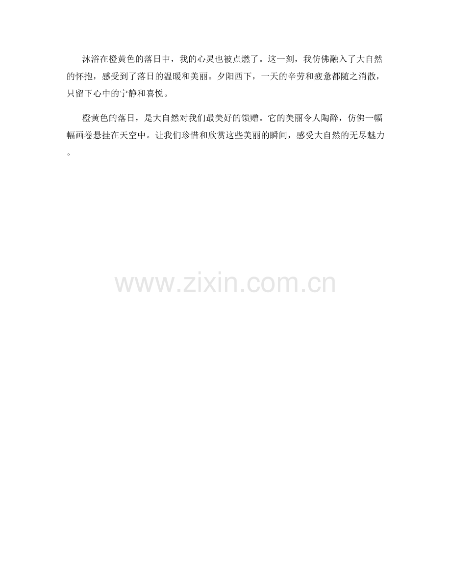 橙黄色的落日.docx_第2页