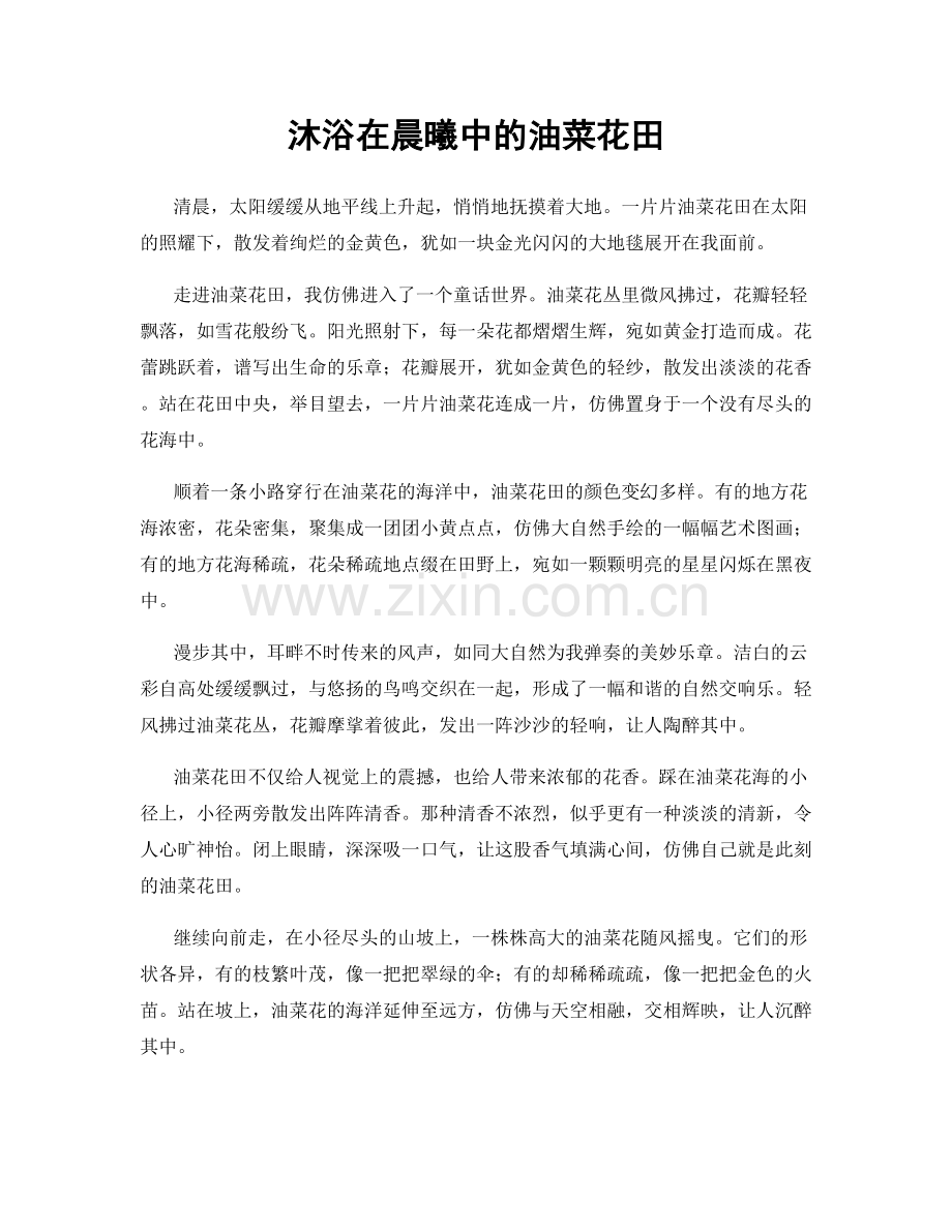 沐浴在晨曦中的油菜花田.docx_第1页