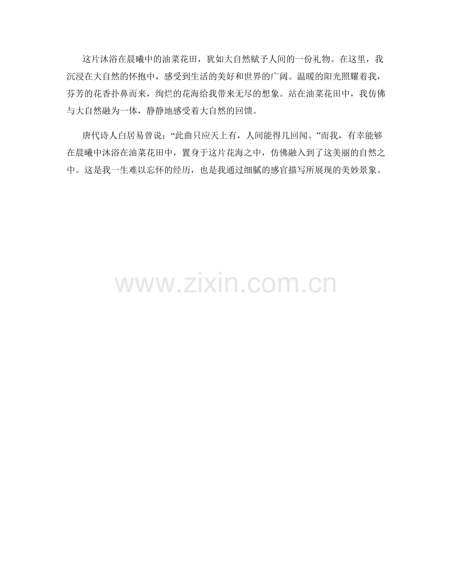 沐浴在晨曦中的油菜花田.docx_第2页